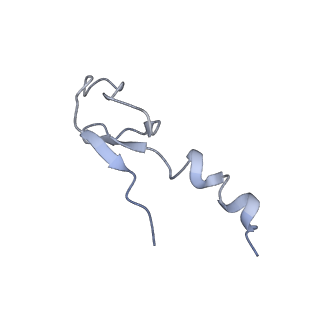 10622_6xu6_Cm_v1-2
Drosophila melanogaster Testis 80S ribosome