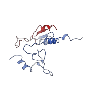10622_6xu6_Cr_v1-2
Drosophila melanogaster Testis 80S ribosome