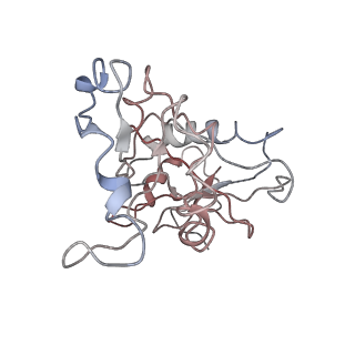 10622_6xu6_Cz_v1-2
Drosophila melanogaster Testis 80S ribosome