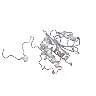 10623_6xu7_AA_v1-2
Drosophila melanogaster Testis polysome ribosome