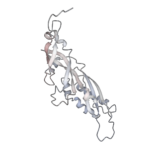10623_6xu7_AB_v1-2
Drosophila melanogaster Testis polysome ribosome