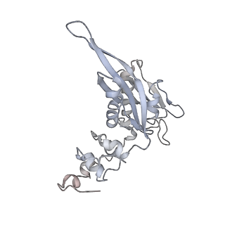 10623_6xu7_AC_v1-2
Drosophila melanogaster Testis polysome ribosome