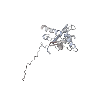 10623_6xu7_AD_v1-2
Drosophila melanogaster Testis polysome ribosome