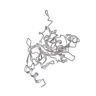 10623_6xu7_AE_v1-2
Drosophila melanogaster Testis polysome ribosome