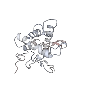 10623_6xu7_AF_v1-2
Drosophila melanogaster Testis polysome ribosome