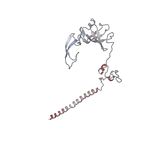 10623_6xu7_AG_v1-2
Drosophila melanogaster Testis polysome ribosome