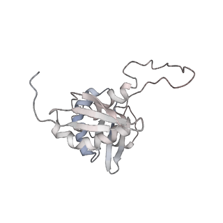 10623_6xu7_AH_v1-2
Drosophila melanogaster Testis polysome ribosome