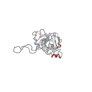 10623_6xu7_AI_v1-2
Drosophila melanogaster Testis polysome ribosome