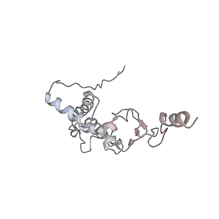 10623_6xu7_AJ_v1-2
Drosophila melanogaster Testis polysome ribosome