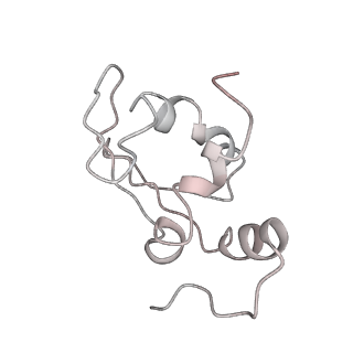 10623_6xu7_AK_v1-2
Drosophila melanogaster Testis polysome ribosome