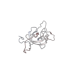 10623_6xu7_AL_v1-2
Drosophila melanogaster Testis polysome ribosome