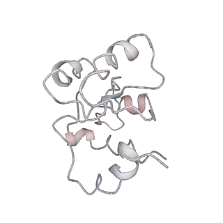 10623_6xu7_AM_v1-2
Drosophila melanogaster Testis polysome ribosome