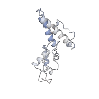 10623_6xu7_AN_v1-2
Drosophila melanogaster Testis polysome ribosome