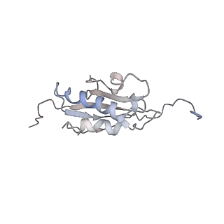 10623_6xu7_AO_v1-2
Drosophila melanogaster Testis polysome ribosome