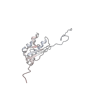10623_6xu7_AQ_v1-2
Drosophila melanogaster Testis polysome ribosome