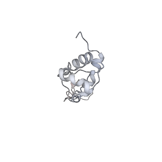 10623_6xu7_AR_v1-2
Drosophila melanogaster Testis polysome ribosome