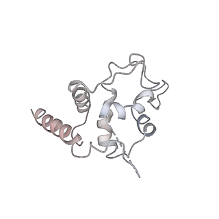 10623_6xu7_AT_v1-2
Drosophila melanogaster Testis polysome ribosome