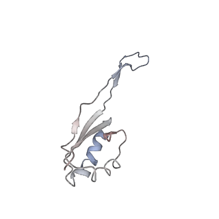 10623_6xu7_AU_v1-2
Drosophila melanogaster Testis polysome ribosome