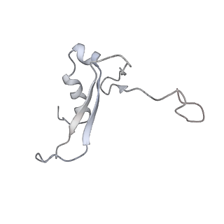 10623_6xu7_AV_v1-2
Drosophila melanogaster Testis polysome ribosome