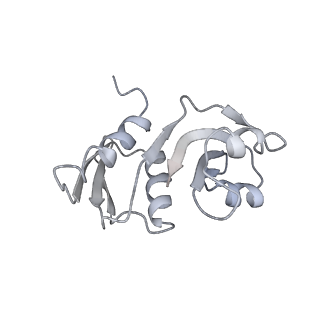 10623_6xu7_AW_v1-2
Drosophila melanogaster Testis polysome ribosome