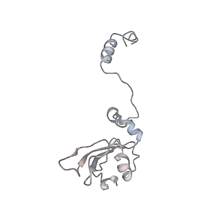 10623_6xu7_AY_v1-2
Drosophila melanogaster Testis polysome ribosome