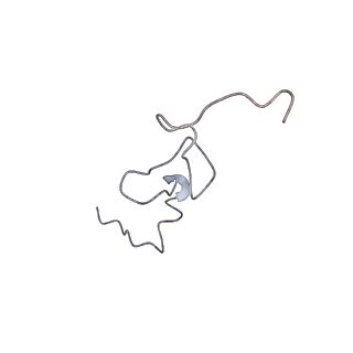 10623_6xu7_Ad_v1-2
Drosophila melanogaster Testis polysome ribosome