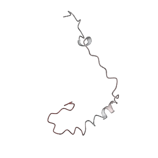 10623_6xu7_Ae_v1-2
Drosophila melanogaster Testis polysome ribosome