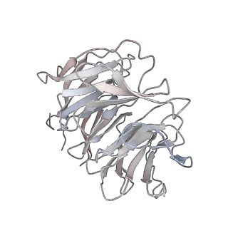 10623_6xu7_Ag_v1-2
Drosophila melanogaster Testis polysome ribosome