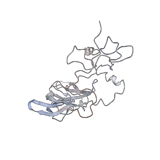 10623_6xu7_CA_v1-2
Drosophila melanogaster Testis polysome ribosome