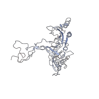 10623_6xu7_CB_v1-2
Drosophila melanogaster Testis polysome ribosome