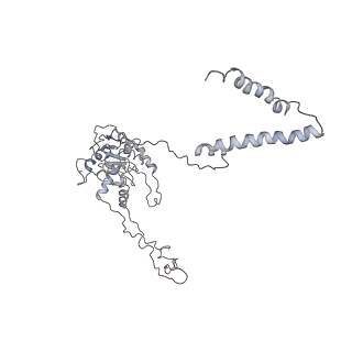 10623_6xu7_CC_v1-2
Drosophila melanogaster Testis polysome ribosome