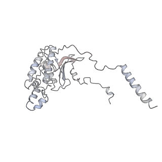 10623_6xu7_CD_v1-2
Drosophila melanogaster Testis polysome ribosome
