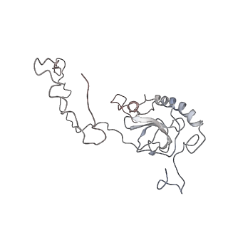 10623_6xu7_CE_v1-2
Drosophila melanogaster Testis polysome ribosome