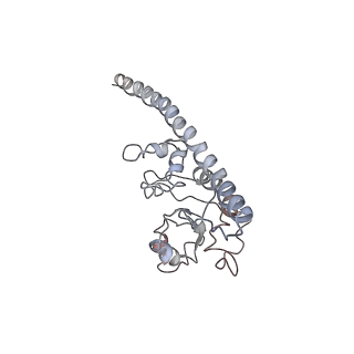 10623_6xu7_CF_v1-2
Drosophila melanogaster Testis polysome ribosome