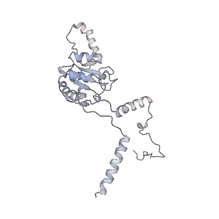 10623_6xu7_CG_v1-2
Drosophila melanogaster Testis polysome ribosome