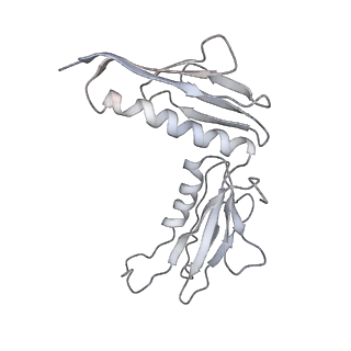 10623_6xu7_CH_v1-2
Drosophila melanogaster Testis polysome ribosome