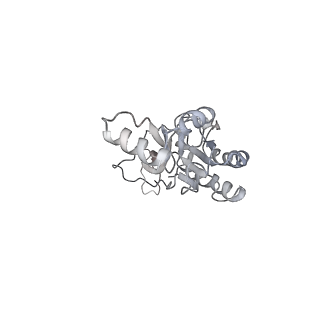 10623_6xu7_CI_v1-2
Drosophila melanogaster Testis polysome ribosome