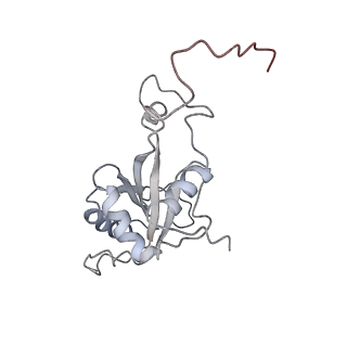 10623_6xu7_CJ_v1-2
Drosophila melanogaster Testis polysome ribosome
