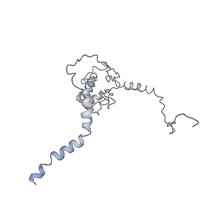 10623_6xu7_CL_v1-2
Drosophila melanogaster Testis polysome ribosome