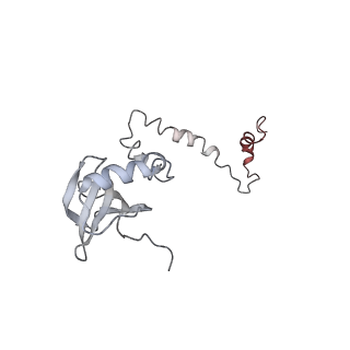 10623_6xu7_CM_v1-2
Drosophila melanogaster Testis polysome ribosome