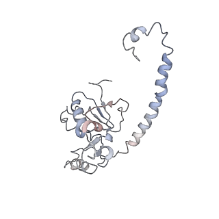 10623_6xu7_CO_v1-2
Drosophila melanogaster Testis polysome ribosome