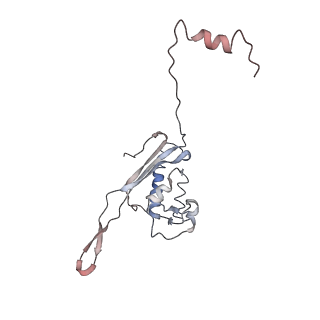 10623_6xu7_CP_v1-2
Drosophila melanogaster Testis polysome ribosome