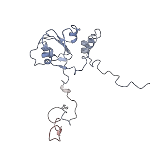 10623_6xu7_CQ_v1-2
Drosophila melanogaster Testis polysome ribosome