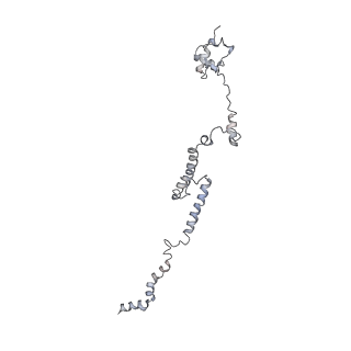 10623_6xu7_CR_v1-2
Drosophila melanogaster Testis polysome ribosome
