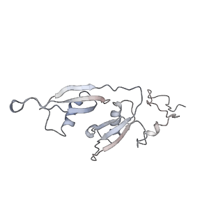 10623_6xu7_CS_v1-2
Drosophila melanogaster Testis polysome ribosome