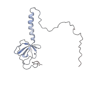 10623_6xu7_CT_v1-2
Drosophila melanogaster Testis polysome ribosome