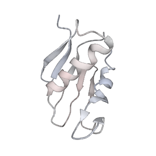 10623_6xu7_CU_v1-2
Drosophila melanogaster Testis polysome ribosome