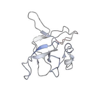 10623_6xu7_CV_v1-2
Drosophila melanogaster Testis polysome ribosome