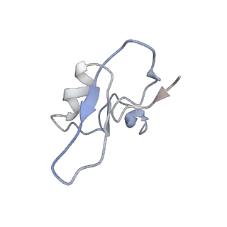 10623_6xu7_CW_v1-2
Drosophila melanogaster Testis polysome ribosome