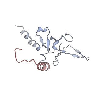 10623_6xu7_CY_v1-2
Drosophila melanogaster Testis polysome ribosome